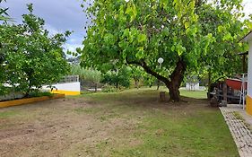 Casa Da Amoreira - Barragem De Montargil